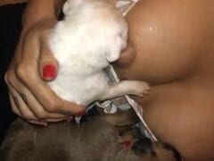 Peituda Latina Maravilhosa Colocou Dois Filhotes de Cachorro Pra Mamar Suas Tetas Siliconadas em Vídeo – Caiu na Net