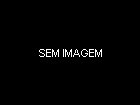 Lilith Scarlett Loira Muito Cachorra já Chegou Dando Bom Dia no Grupo de WhatsApp de Uma Forma Bem Sensual, Mostrando os Peitões